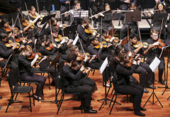 Worcester Youth Orchestras Spring 2022 Auditions