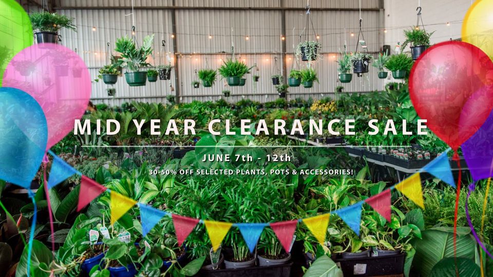 Brisbane - Huge Indoor Plant Sale - Mid Year Clearance Sale!, Online Event