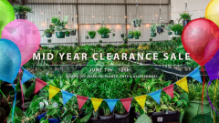 Brisbane - Huge Indoor Plant Sale - Mid Year Clearance Sale!