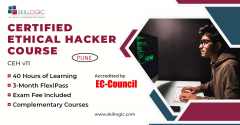 ONLINE CERTIFIED ETHICAL HACKING TRAINING IN PUNE