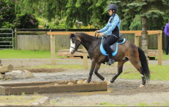 The Movement 2022, Happiness, Health and Horses