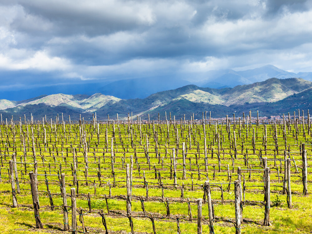 Wines of Sicily, Cambridge, Massachusetts, United States
