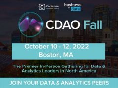 Chief Data & Analytics Officers, Fall
