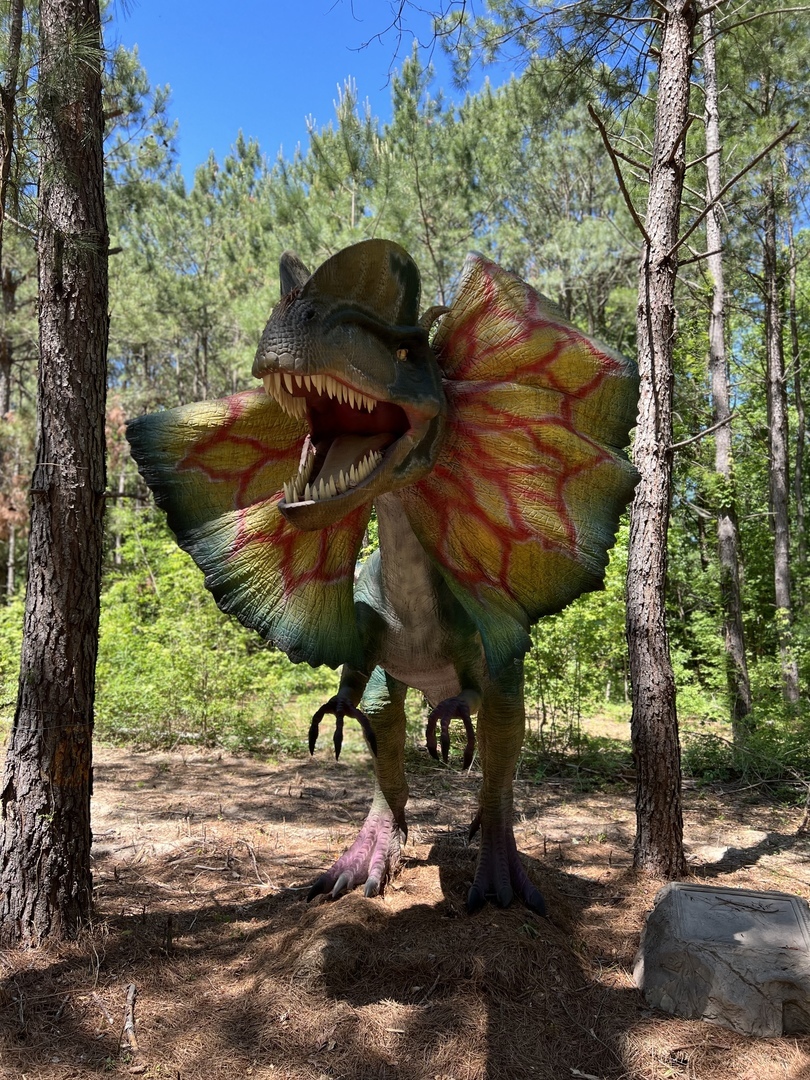 Dinosaur World at Sweet Valley Ranch, Fayetteville, North Carolina, United States