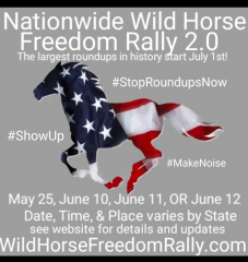 Nationwide Wild Horse Freedom Rally Wyoming