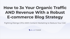 How to 3x Your Organic Traffic AND Revenue ​​​​​​​With a Robust E-commerce Blog Strategy