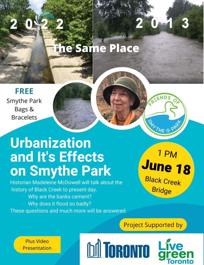 Urbanization and It's Effects on Smythe Park (Black Creek & Humber River), Toronto, Ontario, Canada