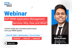SAP BRIM Application Management Services: What, Why and How?