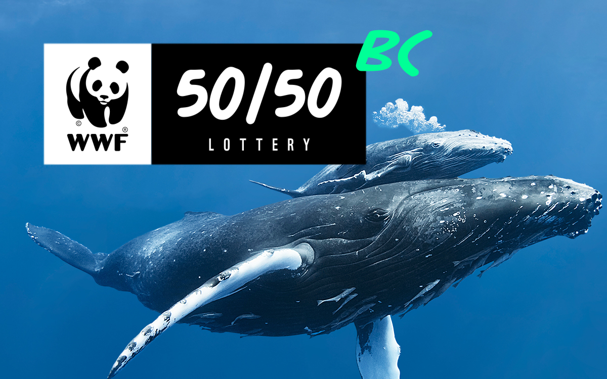 WWF-Canada's 50/50 Lottery BC, Online Event