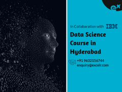 Certificate Programme in Data Science & Machine Learning