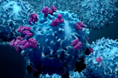 Mayo Clinic Oncology Review 2022