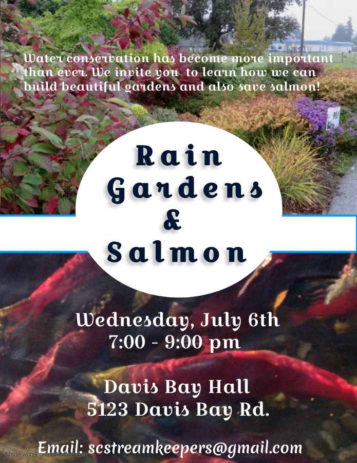 Rain Gardens and Salmon, Sechelt, British Columbia, Canada