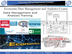 Economic Data Management and Analytics Course