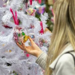 Essex Festive Gift and Food Show 2022