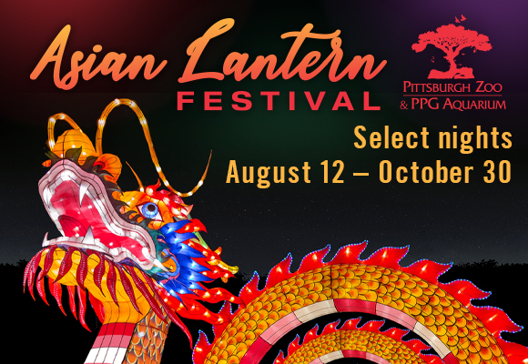 Pittsburgh Zoo's Asian Lantern Festival, Pittsburgh, Pennsylvania, United States