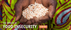 Climate Resilience and Food Security Course