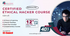 ONLINE CERTIFIED ETHICAL HACKING TRAINING IN CHENNAI