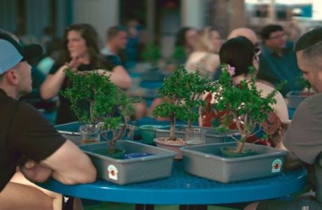 Bonsai And Brews at Zydeco Brew Werks, 33605, Florida, United States