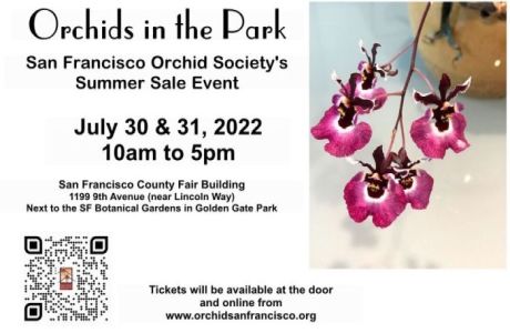 ORCHIDS IN THE PARK 2022, San Francisco, California, United States