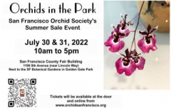 ORCHIDS IN THE PARK 2022