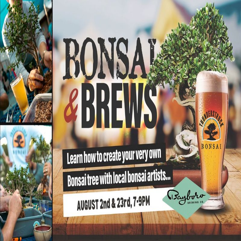 Bonsai and Brews at Bayboro Brewing, St. Petersburg, Florida, United States