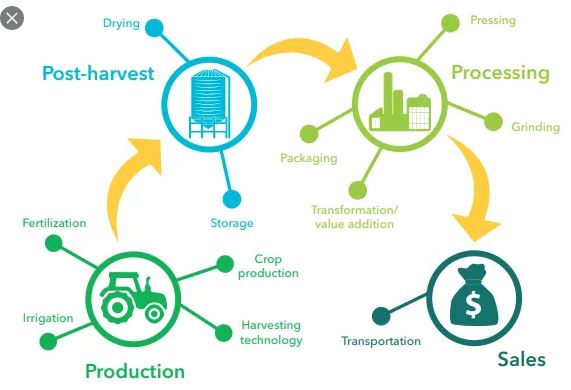 Agricultural Value Chain Development And Market Linkages Course 