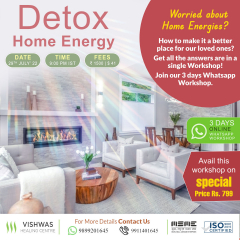 Detox Home Energy WhatsApp Workshop