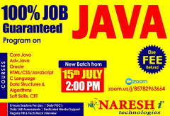 Job Guaranteed Program on Java Developer in Narshit