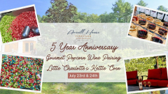 Lil Charlotte Gourmet Popcorn and Wine Tasting Bar | 5 Year Anniversary Celebration July 23rd and 24th