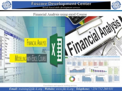 Financial Analysis using excel Course 1
