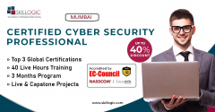 Certified Cyber Security Professional Training In Mumbai
