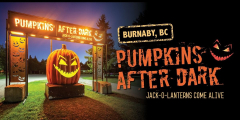 Pumpkins After Dark
