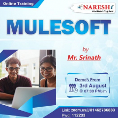 Free Online Demo On MuleSoft Course Training in NareshIT