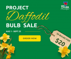 Project Daffodil Bulb Sale