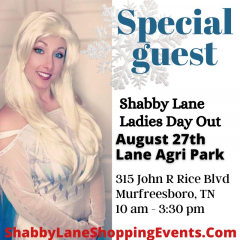 Shabby Lane Ladies Day Out Shopping Event