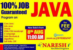 100% Job Guaranteed Program On Java Developer in NareshIT