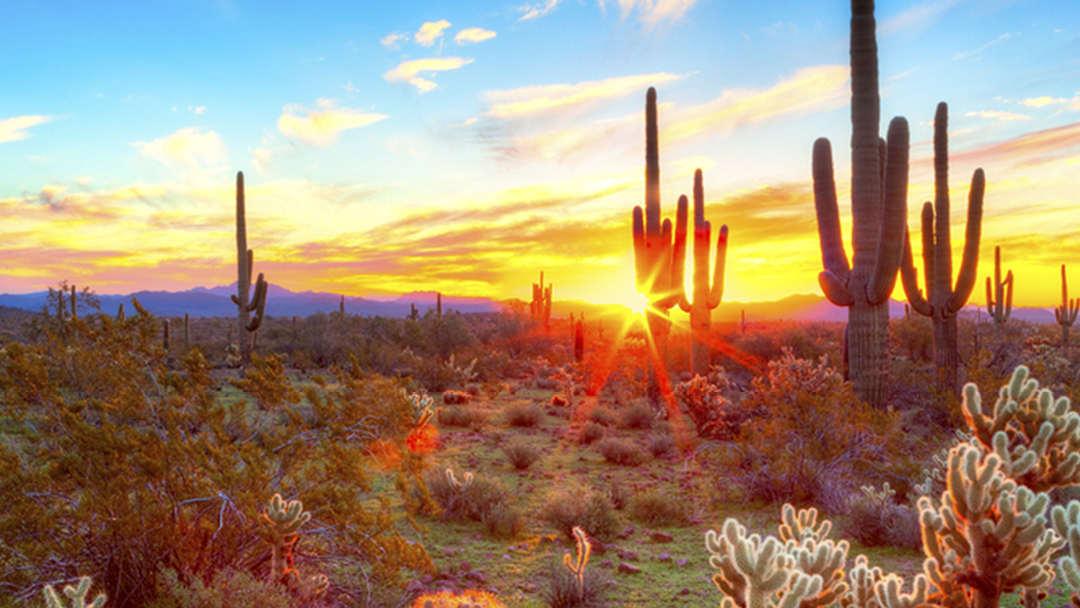 Mayo Clinic Parkinson's Disease and Other Movement Disorders, Phoenix, Arizona, United States