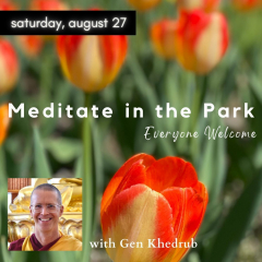 Free Meditation at Elizabeth Park