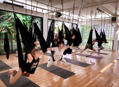 7 Day / 50 hour Aerial Yoga Teacher Training - YACEP