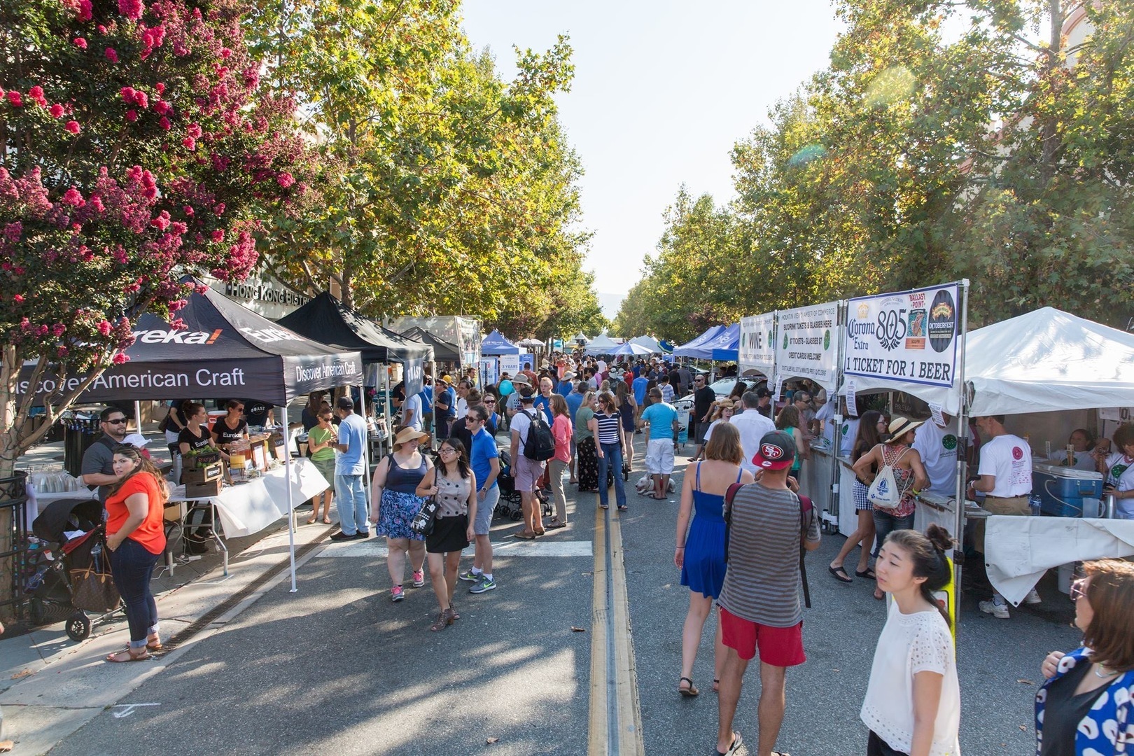 50th Mountain View Art & Wine Festival, A Festival Like No Other, Mountain View, California, United States
