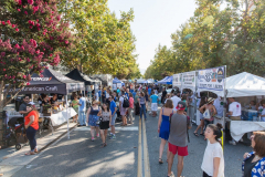 50th Mountain View Art & Wine Festival, A Festival Like No Other