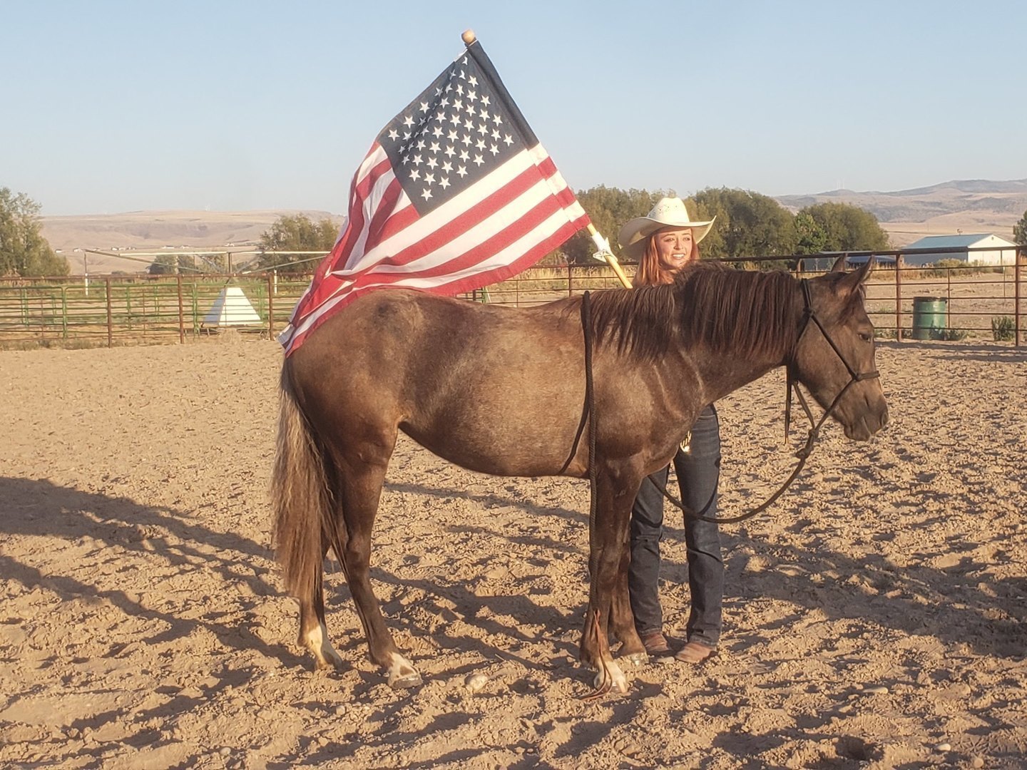 4-H Trained BLM Mustang Adoption, Sat. 9/3 11:30am, EISF Grandstand Arena, Blackfoot, Idaho, United States