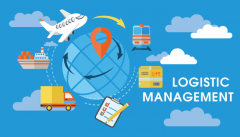 Transport and Logistics Management Course