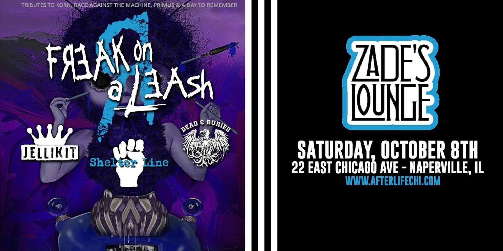 Tributes to Korn, Rage, Primus and A Day To Remember, Naperville, Illinois, United States