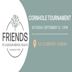 2022 Cornhole Tournament, Ashburn, Virginia, United States
