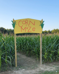 Corn Maze, Sunflowers and More at The Cottage Labor Day Weekend
