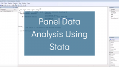Panel Data Models in STATA Training Course