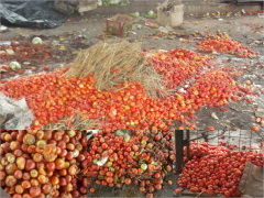 Causes and Minimization of Post-Harvest Losses Course