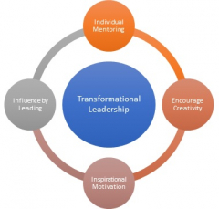 Transformational Leadership and Governance Course