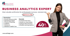 BUSINESS ANALYTICS EXPERT COURSE IN BANGALORE
